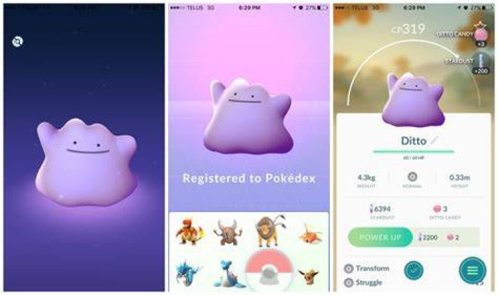 How to get a ditto in pokemon go 2021