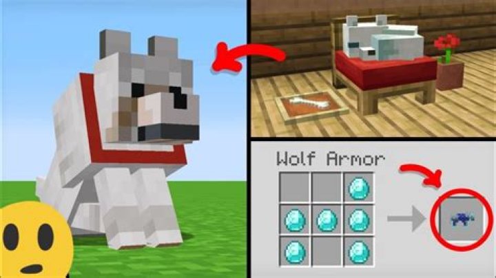 How to get a dog in minecraft pe