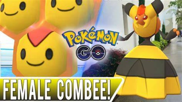 How to get a female combee in pokemon go