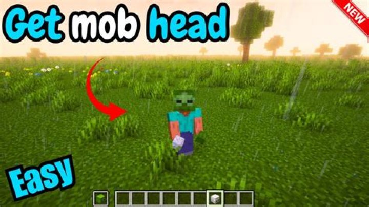 How to get a mob head in minecraft