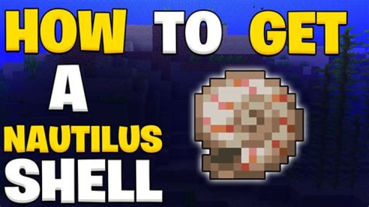 How to get a nautilus shell in minecraft