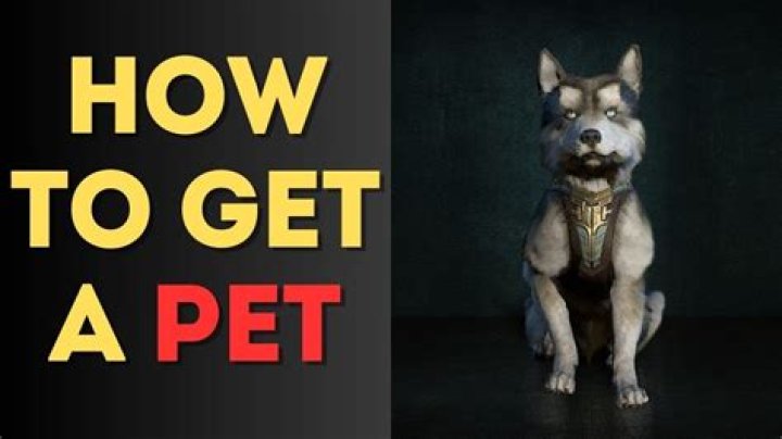 How to get a pet diablo 3