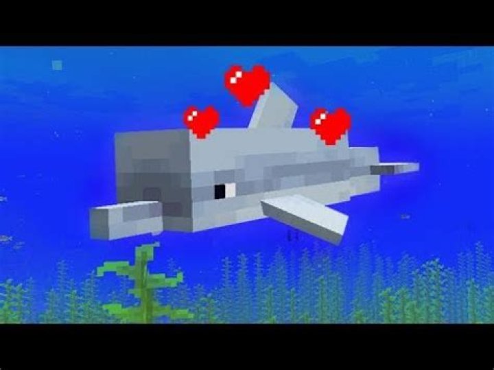 How to get a pet dolphin in minecraft