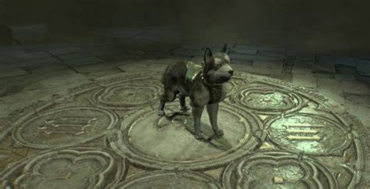 How to get a pet in diablo 3