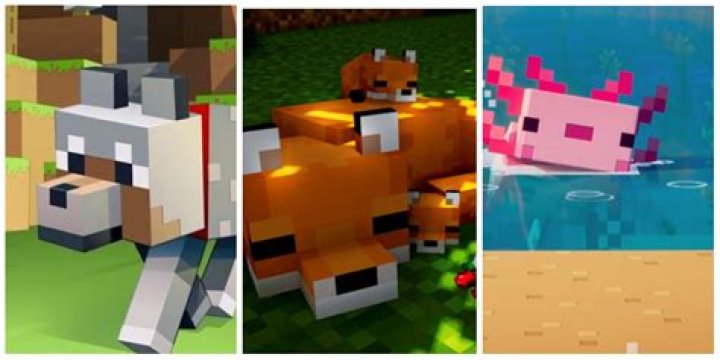 How to get a pet in minecraft pe