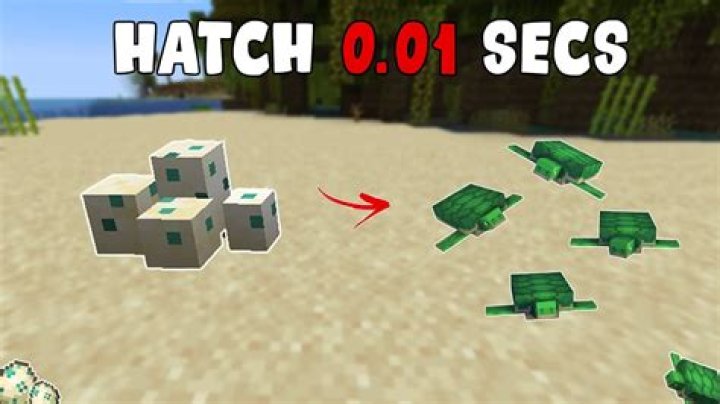 How to get a pet turtle in minecraft