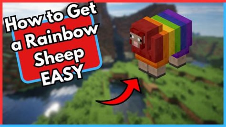 How to get a rainbow sheep in minecraft