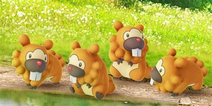 How to get a shiny bidoof pokemon go