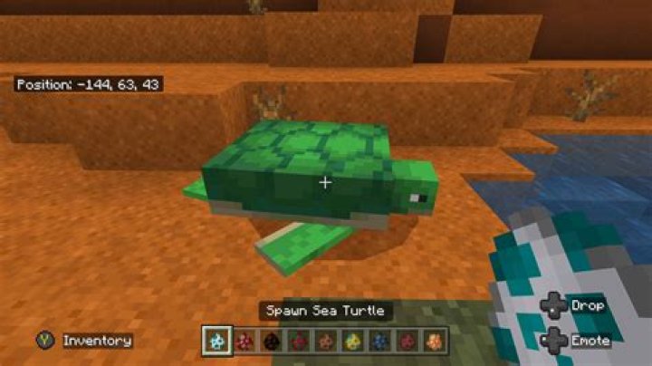 How to get a turtle hat in minecraft