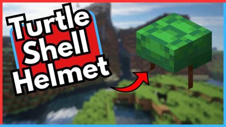 How to get a turtle helmet in minecraft