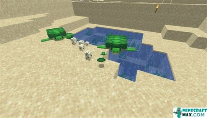 How to get a turtle shell in minecraft