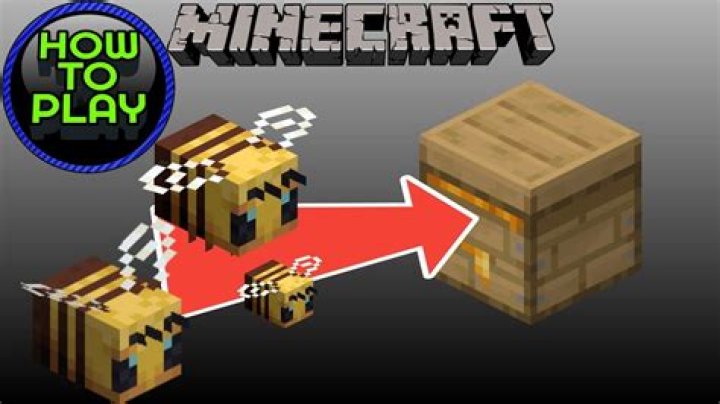 How to get bees into a beehive minecraft