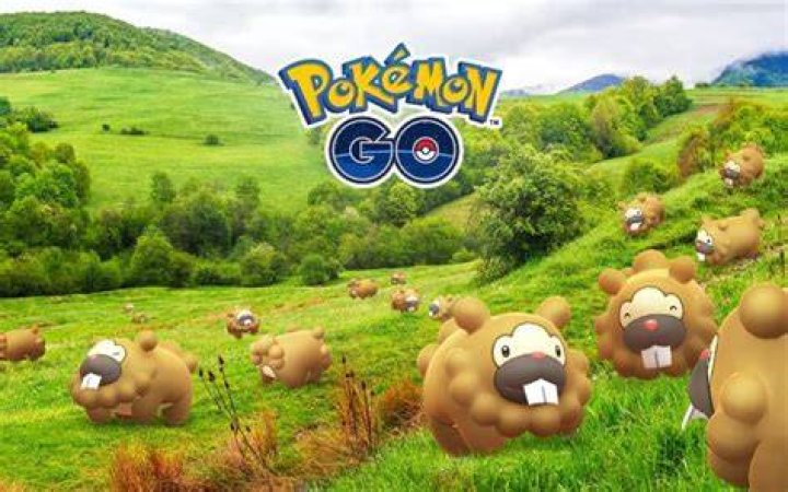 How to get bidoof hat pokemon go