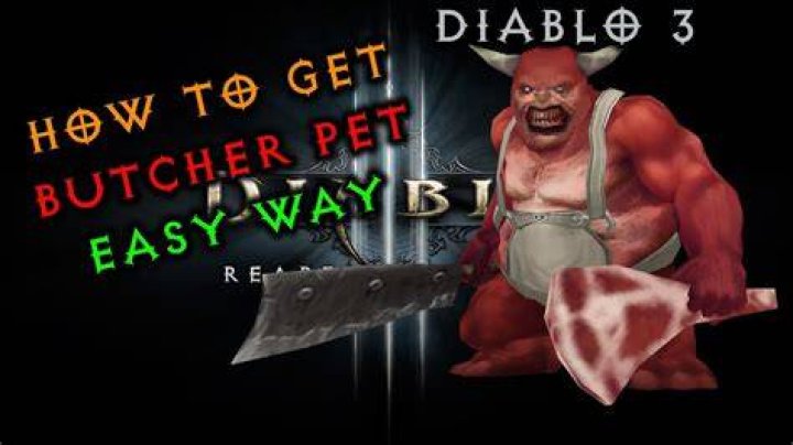 How to get butcher pet diablo 3