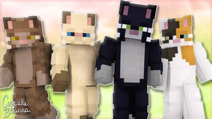 How to get cartoon cat skin in minecraft