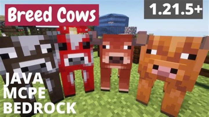 How to get cows to breed in minecraft