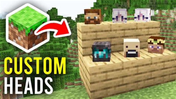 How to get custom heads in minecraft 1.11