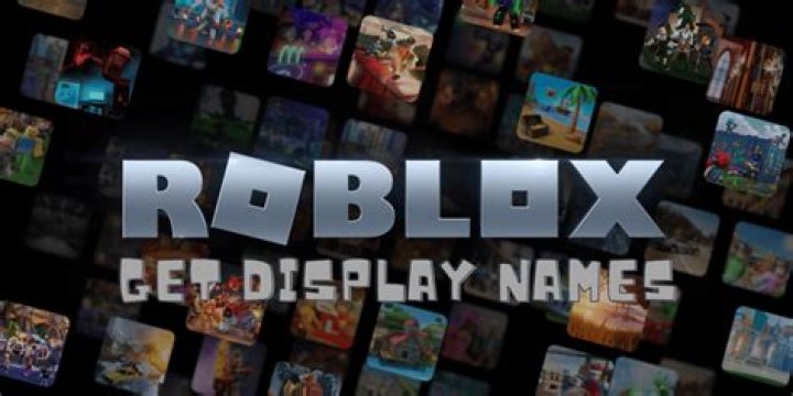 How to get display names on roblox 2021