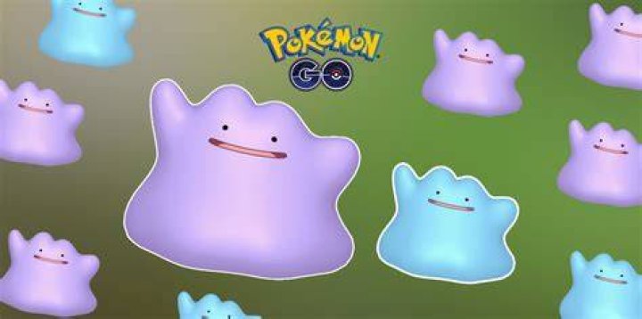 How to get ditto on pokemon go