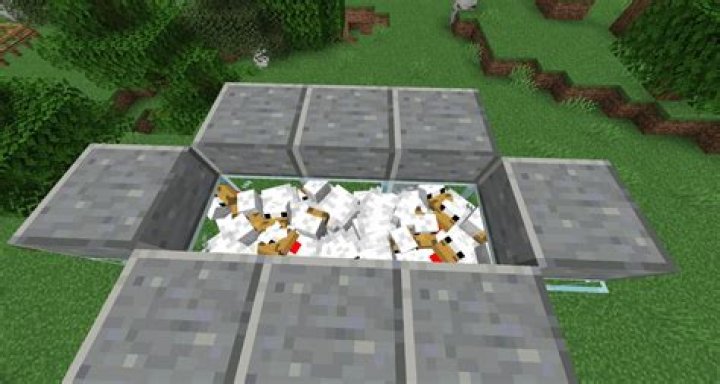 How to get eggs from chickens in minecraft
