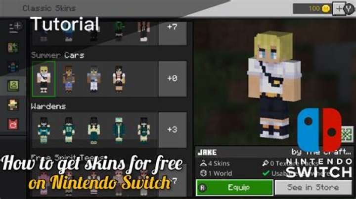 How to get free minecraft skins on switch