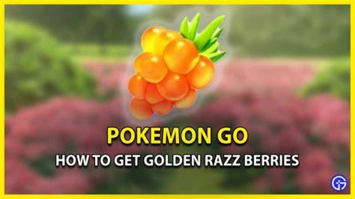 How to get golden razz berries in pokemon go