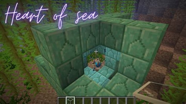 How to get heart of the sea minecraft