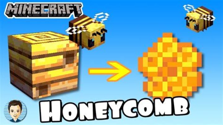 How to get honey from bees in minecraft