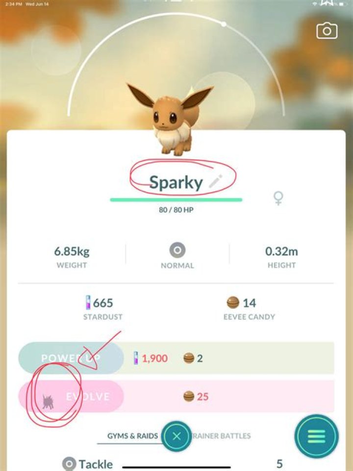 How to get jolteon pokemon go