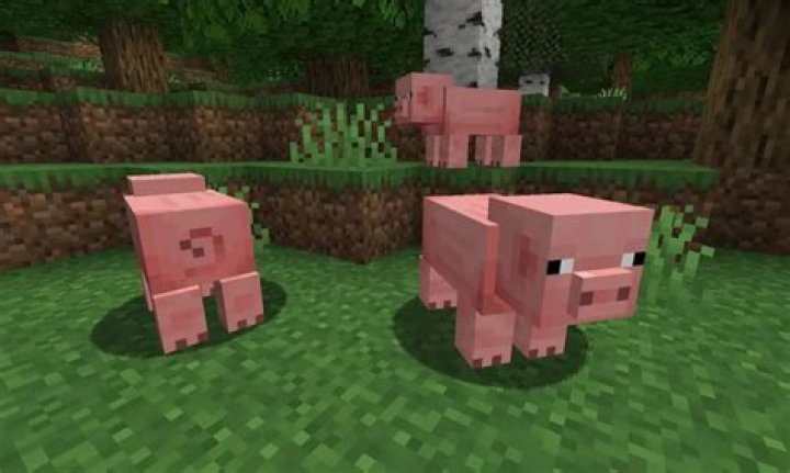 How to get off a pig in minecraft