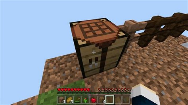 How to get one block survival in minecraft