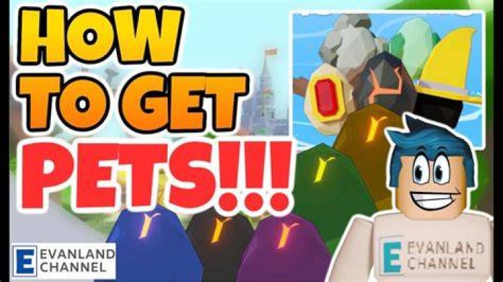 How to get pets in islands roblox