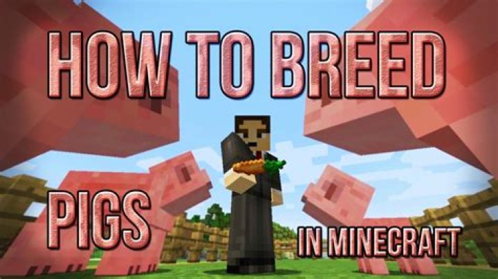 How to get pigs to follow you minecraft