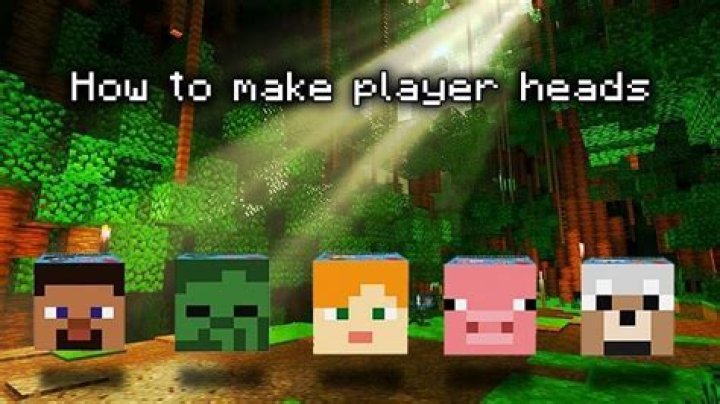 How to get player heads in minecraft 1.11