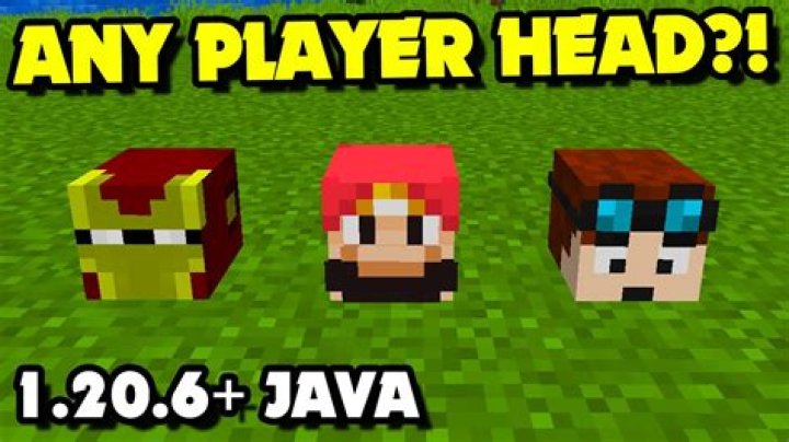 How to get player heads in minecraft 1.8