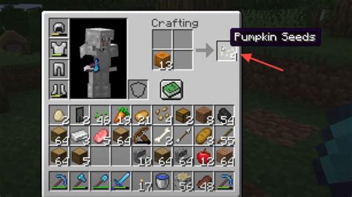 How to get pumpkin seeds in minecraft pe