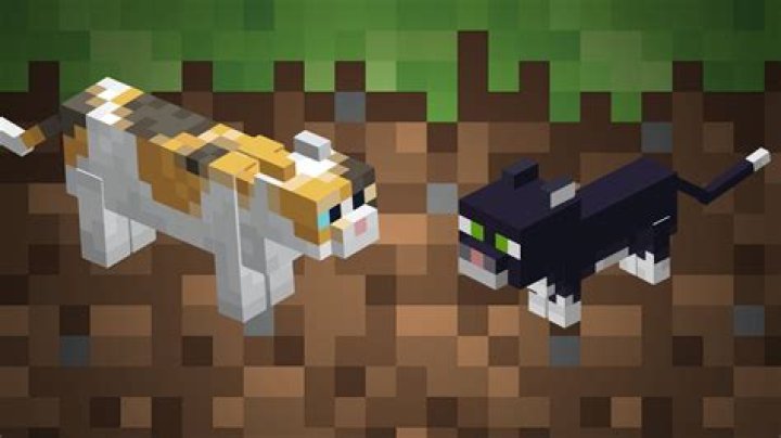 How to get rid of cats in minecraft