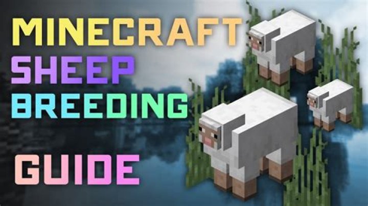 How to get sheep to breed in minecraft