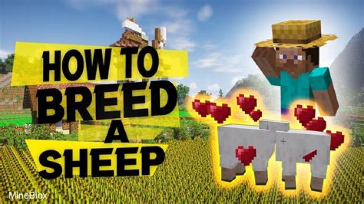 How to get sheep to mate in minecraft
