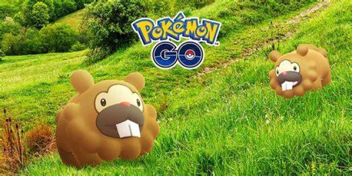 How to get shiny bidoof in pokemon go