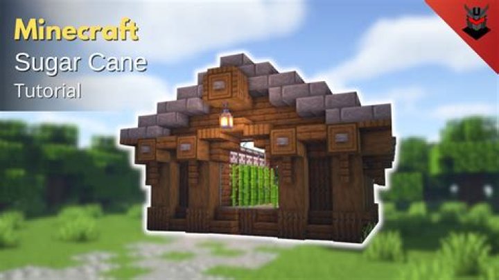 How to get sugar cane seeds in minecraft