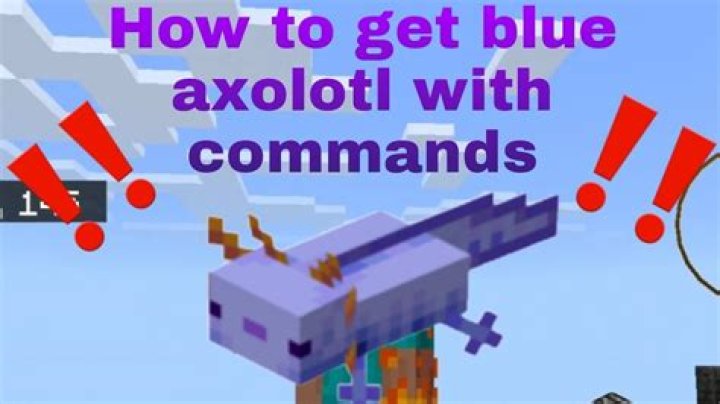 How to get the blue axolotl in minecraft