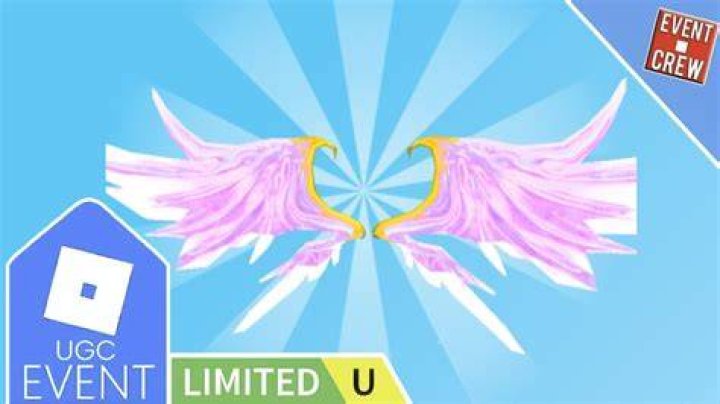 How to get the mech wings in roblox