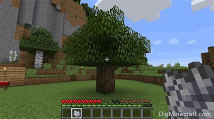 How to get trees to grow in minecraft