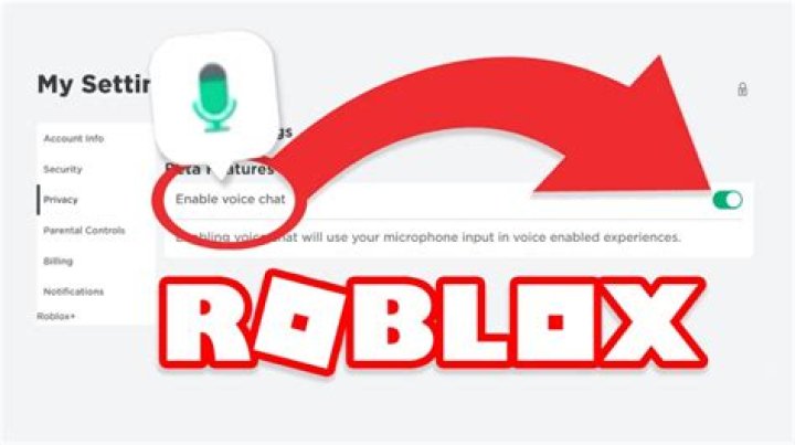 How to get voice chat roblox