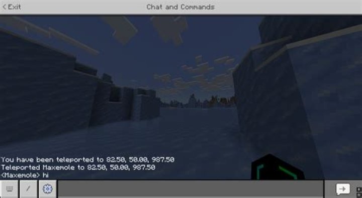 How to give permission to teleport in minecraft