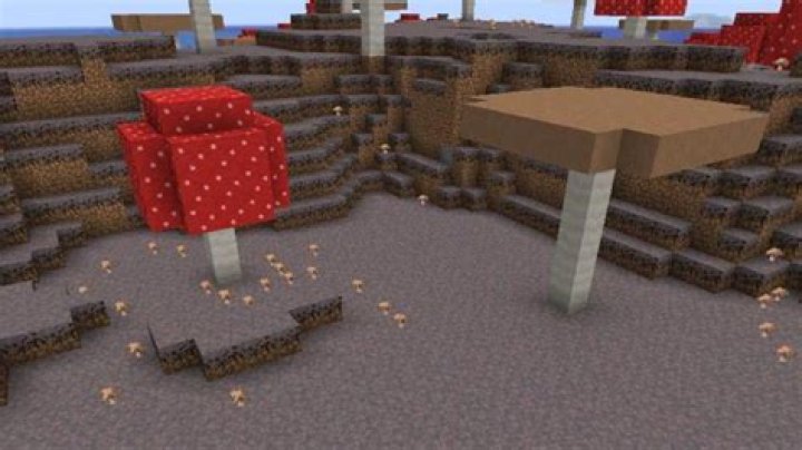 How to grow a brown mushroom in minecraft