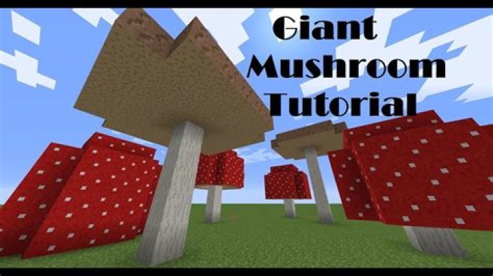 How to grow a giant mushroom in minecraft
