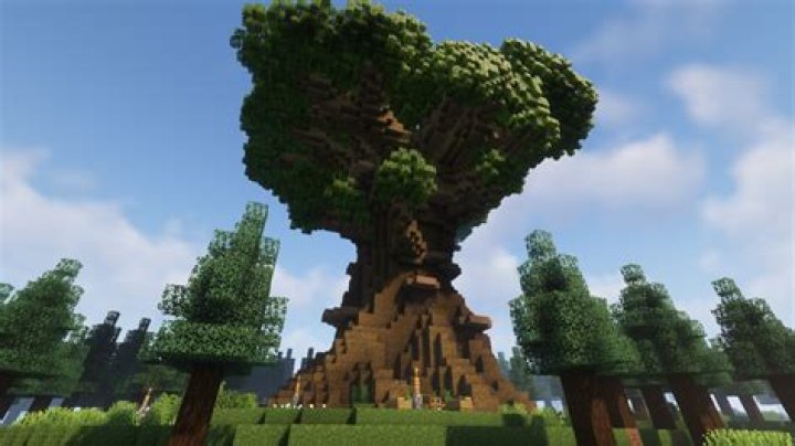 How to grow a giant tree in minecraft
