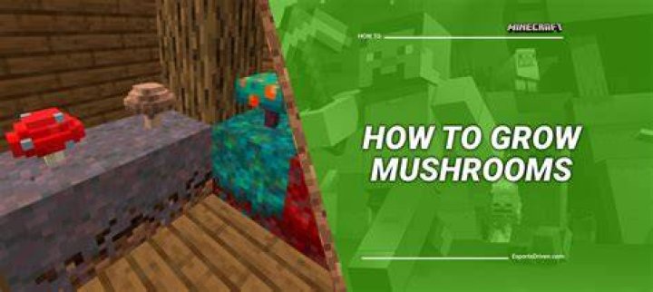 How to grow a mushroom tree in minecraft